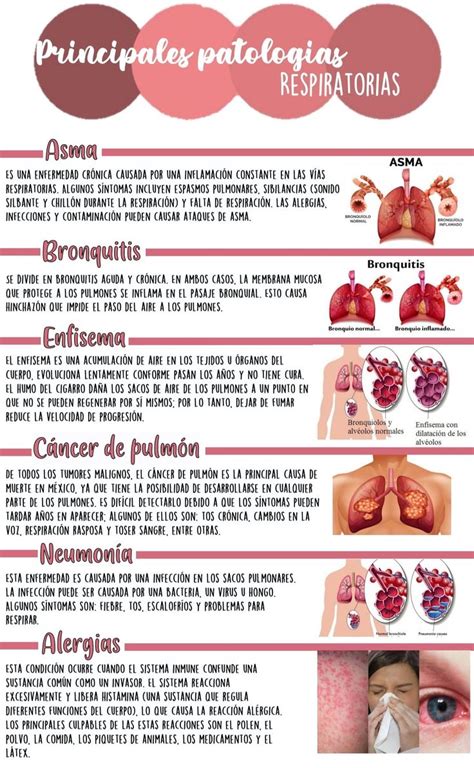 Pin de Anibal Gadea en Patología Cosas de enfermeria Terapia