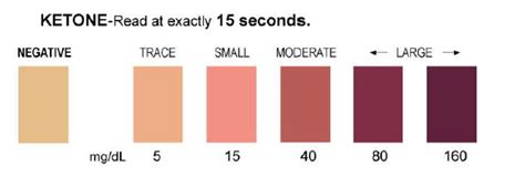 Ketone Levels In Urine Symptoms Management How To Relief