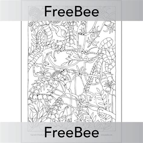 Rainforest Art Ks2 Mindfulness Colouring Pages By Planbee