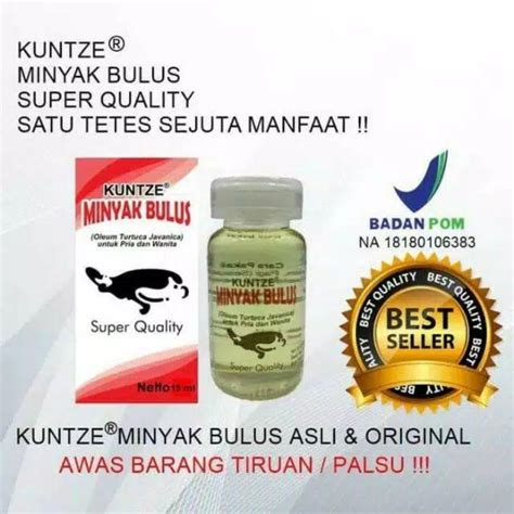 Minyak Bulus Original Banyak Manfaat KUNTZE BPOM Kesehatan