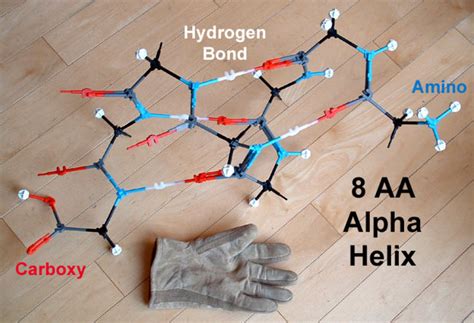 Artmolecular Sculpture Proteopedia Life In 3d