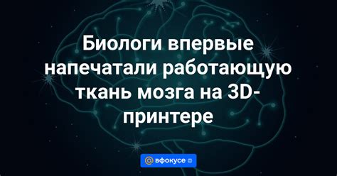 Биологи впервые напечатали работающую ткань мозга на 3d принтере