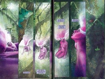 Black Orchid Neil Gaiman Dave Mckean Orchid E Noire Cin Ma