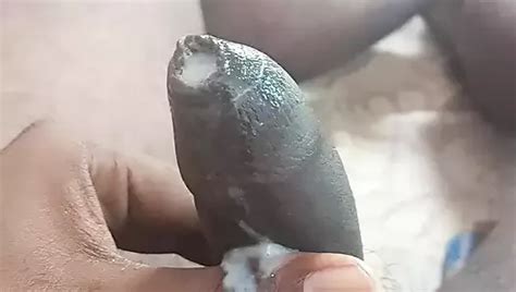 Indian Boy Handjob Gay Big Cock Porn Video Xhamster