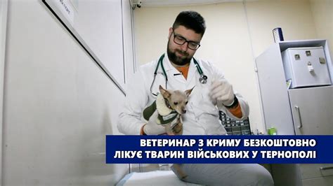Ветеринар з Криму безкоштовно лікує тварин військових у Тернополі - YouTube