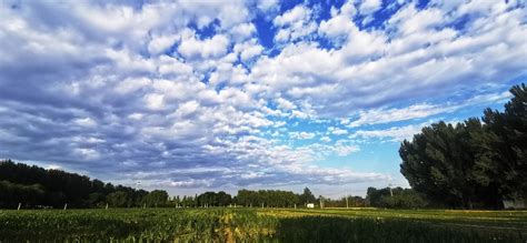 热热热热化了 最高气温40℃ 升级了 高温红色预警中北京时间