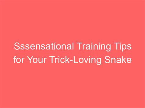 Sssensational Training Tips for Your Trick-Loving Snake - Family Snake