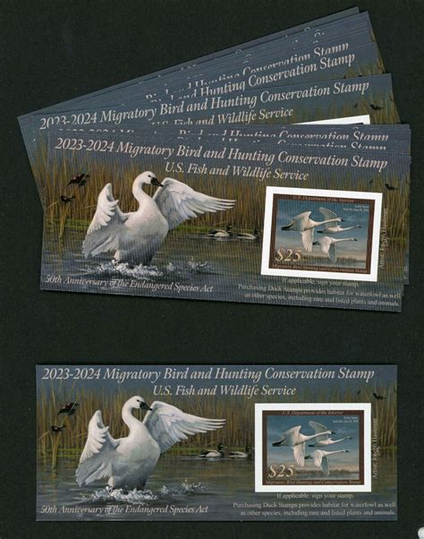 Federal Duck Stamp 2023 2024 Online Laseb Fae Ufmg Br