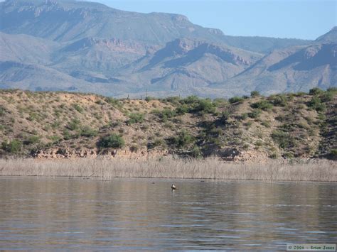 Roosevelt Lake Kayakingcamping On The Beckoning