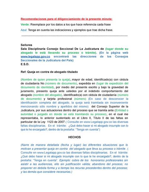 Minuta Para Presentar Queja Contra Abogado Ante El Consejo Superior De