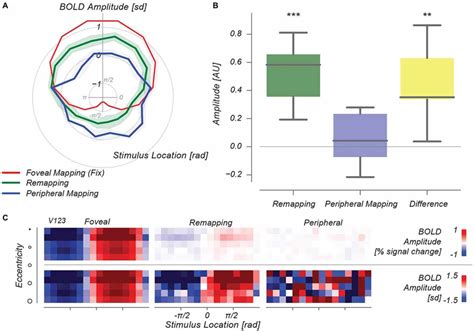 Multivoxel Pattern Analysis MVPA Results A Polar Plot Depicting