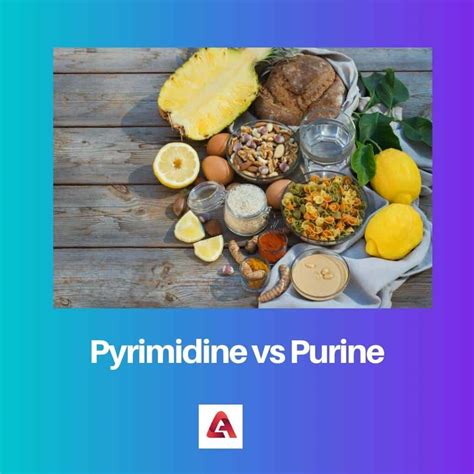 Difference Between Pyrimidine and Purine