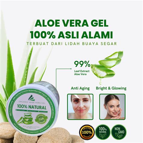 Jual Aloe Vera Gel Asli Terbuat Dari Lidah Buaya Segar Organik Nett