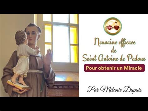 Neuvaine Efficace De Saint Antoine De Padoue Pour Obtenir Un Miracle