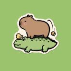 Capybara Mouse Pad Cute Capibara Computer Mousepad Regisbox