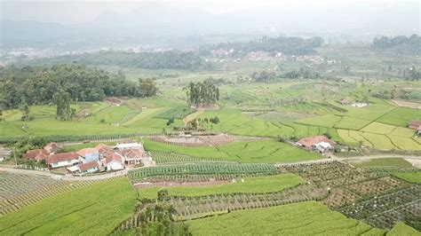 Kebanggaan Indonesia Sebagai Negara Agraris Kementan Dorong Daya Saing