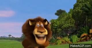 Madagascar Marty Gif