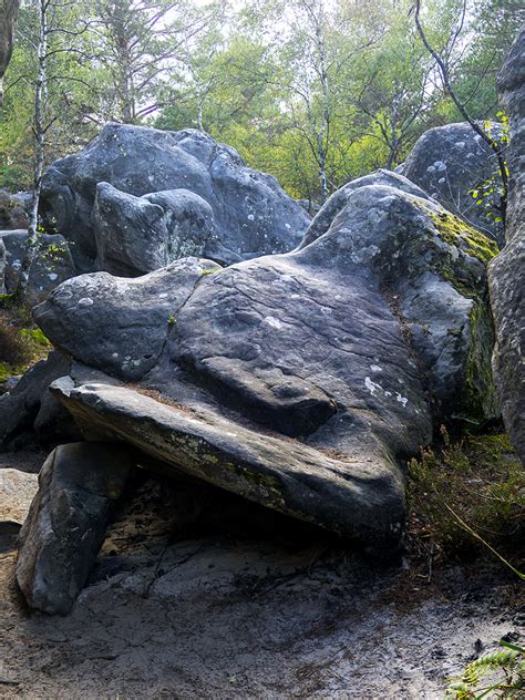 La Forêt de Fontainebleau Erwan Balestreri Photographie