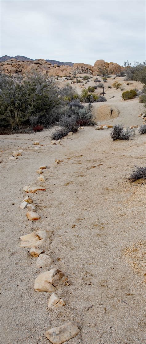map of joshua tree park 4