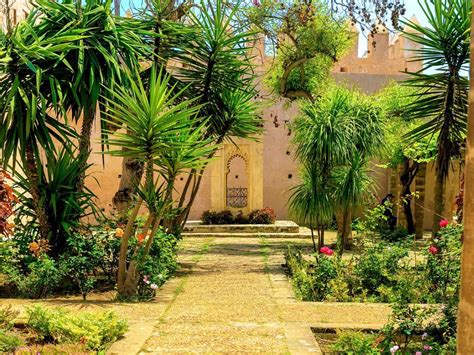 Moroccan Garden Design Tips For Creating A Moroccan Garden