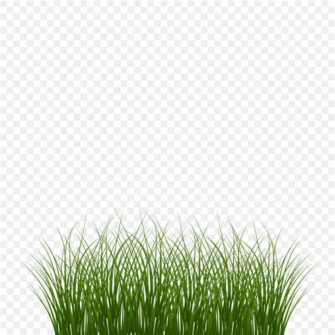 Grass Transparent Vector Hd Images Grass Green Fresh Rumput Hijau