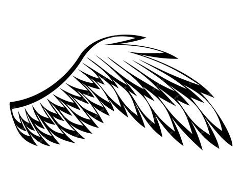 drawing birds wings 3