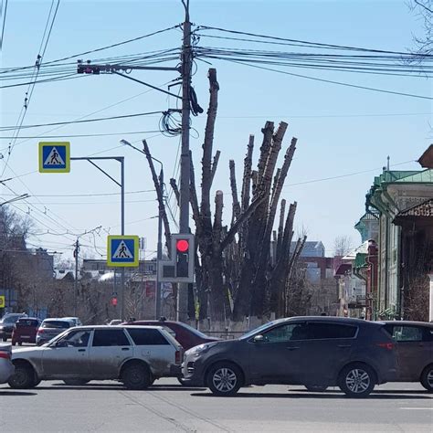Красота неимоверная... Томск всегда считался зеленым городом, томичи ...