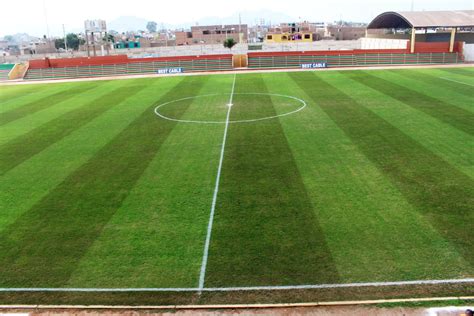 Informacion Mejoran Campo Del Estadio Julio Lores Col N