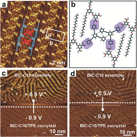 The D Bic C Tpb Supramolecular Cocrystal And Its Response To The