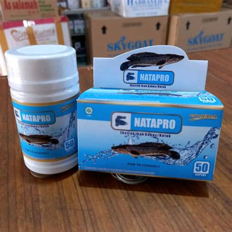 Jual Natapro Ekstrak Albumin Ikan Gabus Kutuk Ash Shihhah Kapsul