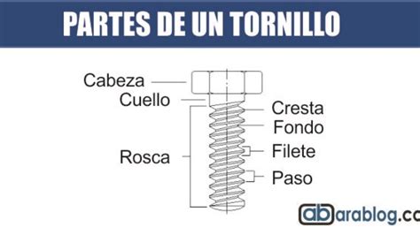 Conexi N M Nimo Dedicar Cuales Son Las Partes De Un Tornillo Estante