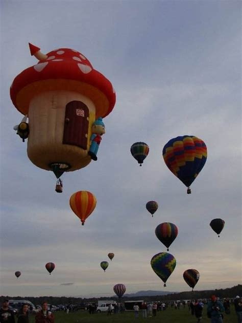 Adirondack Balloon Festival Balloon Festivals Balloons Air Balloon