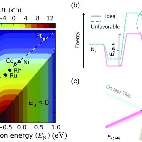 PDF Computational Design Of Catalysts For Ammonia Synthesis