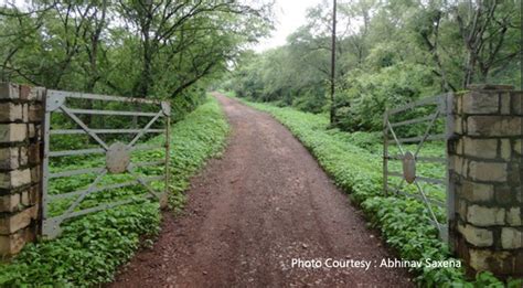 Top 139 + Shivpuri national park is famous for which animal ...