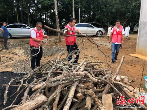 新时代文明实践海口琼山区开展人居环境整治行动海口网