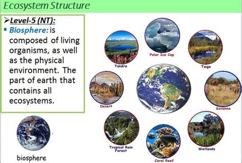 #Ecology#Biosphere | Social studies lesson plans, Social studies lesson ...