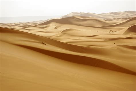 Le tonneau des Danaïdes 2008