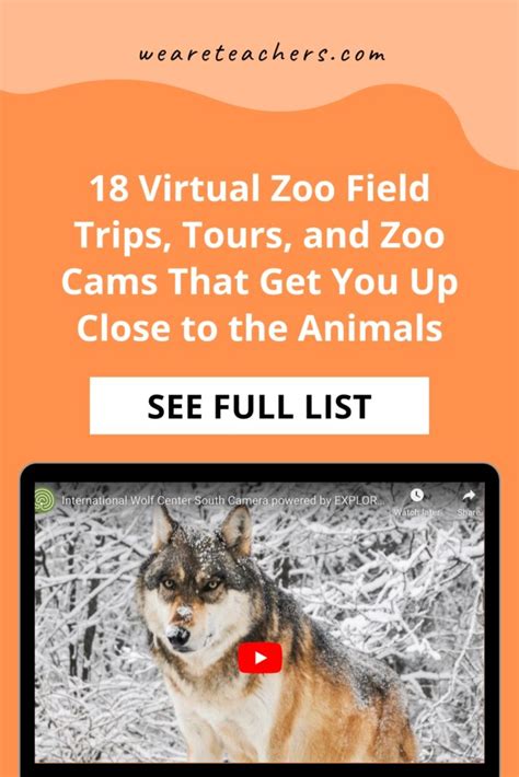 18 Best Virtual Zoo Field Trips, Virtual Zoo Tours, and Zoo Cams