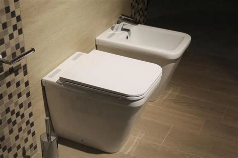 20 Different Types Of Toilets A Complete Guide Home Awakening Uses