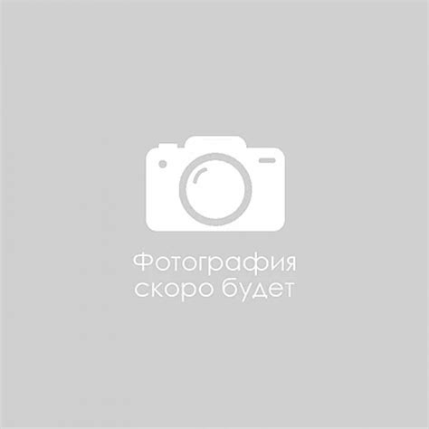 Emaco s33: Безусадочная цементная смесь Masterflow 980 (Emaco S33)