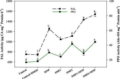 Effects Of Static Magnetic Field At 30 Mt 100 Ppm Mnp And Their