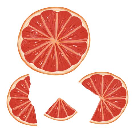 Orange Slice Illustration Orange Slice Illustration Design Orange