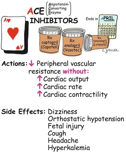 Angiotensin-Converting Enzyme (ACE) Inhibitors Flashcards | Quizlet