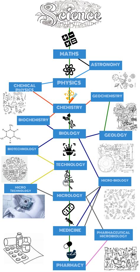 Top Courses After 12th In Science Commerce And Arts In 2024