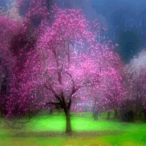 Pink Tree Wallpaper GIF