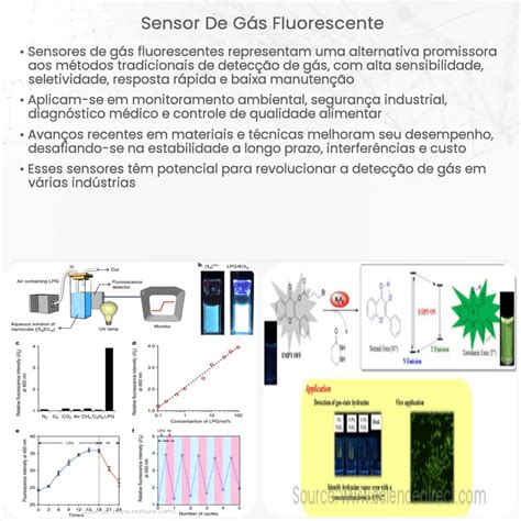 Sensor De G S Fluorescente Como Funciona Aplica O E Vantagens