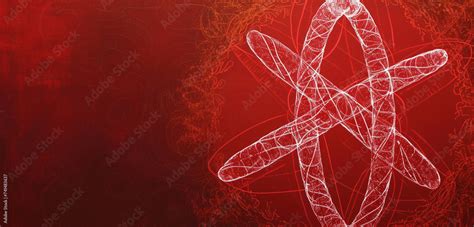 Diagram of metaphase II in meiosis with chromosomes aligning at the ...