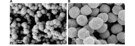 Sem Micrographs Of Zno With Particle Size A Nm And B Nm