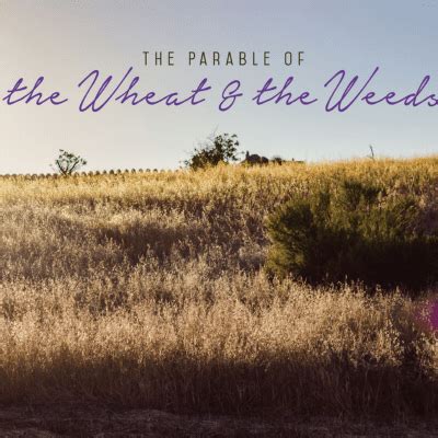 The Parable of the Wheat & the Weeds: Second Instincts - Emmanuel ...