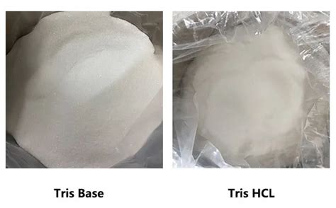 Tris Base vs Tris HCl: Key Differences for Scientific Research